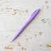 Caneta Brush Sign Pen Pentel